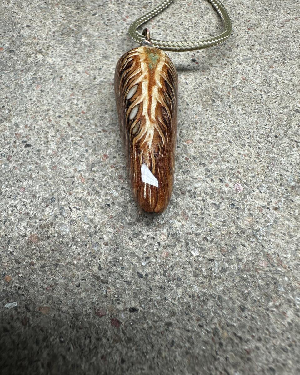 Closer view of the cut face on its cord, cream shaft with barbs spreading either side, small white seed ends along the left and a dull turquoise patch near the top