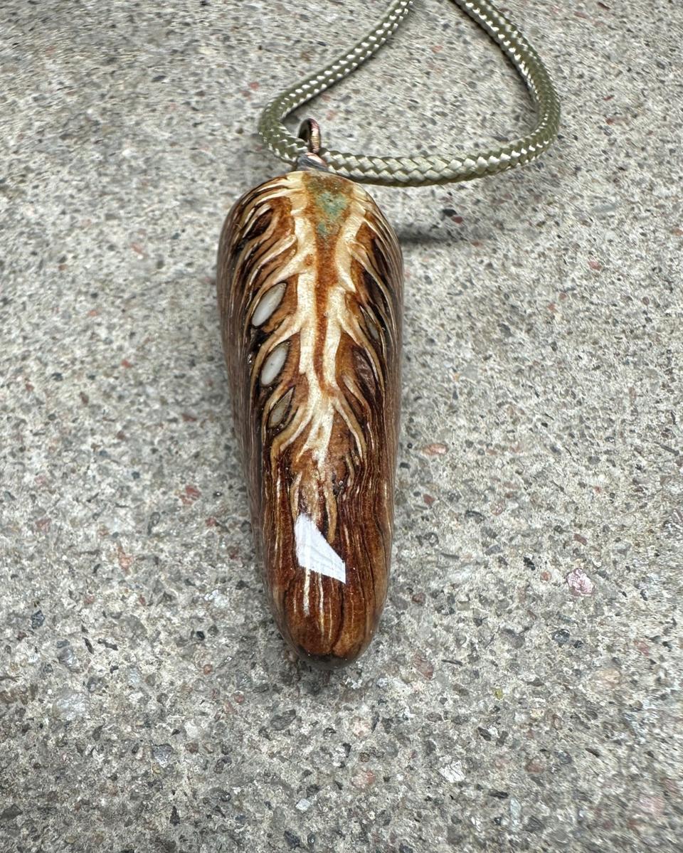 Close view of the cream shaft with fine barbs fanning out either side and three small white seed ends along the left