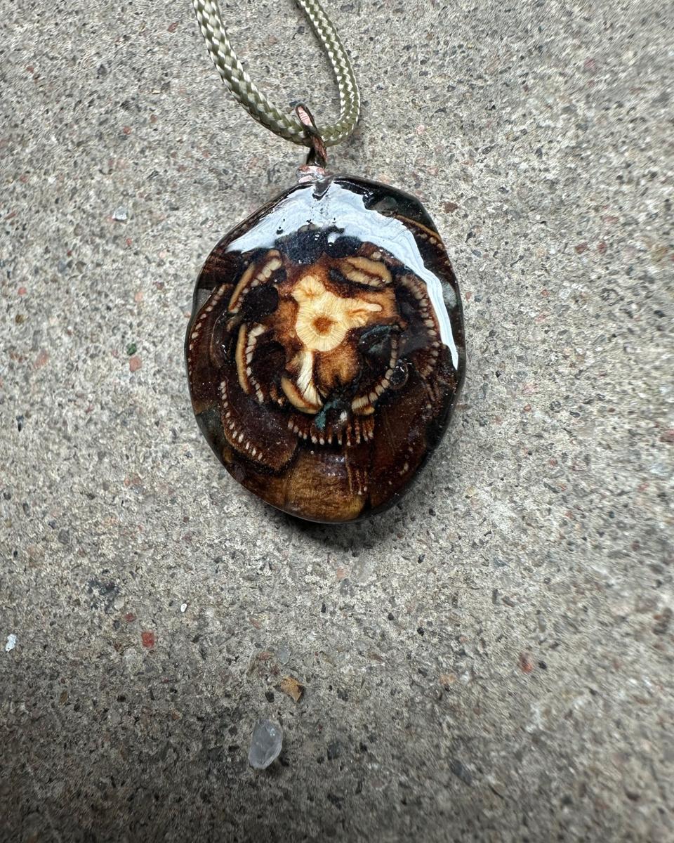 The back face of the pendant, brown and cream scales spiralling around a pale core, with white combed scale tips